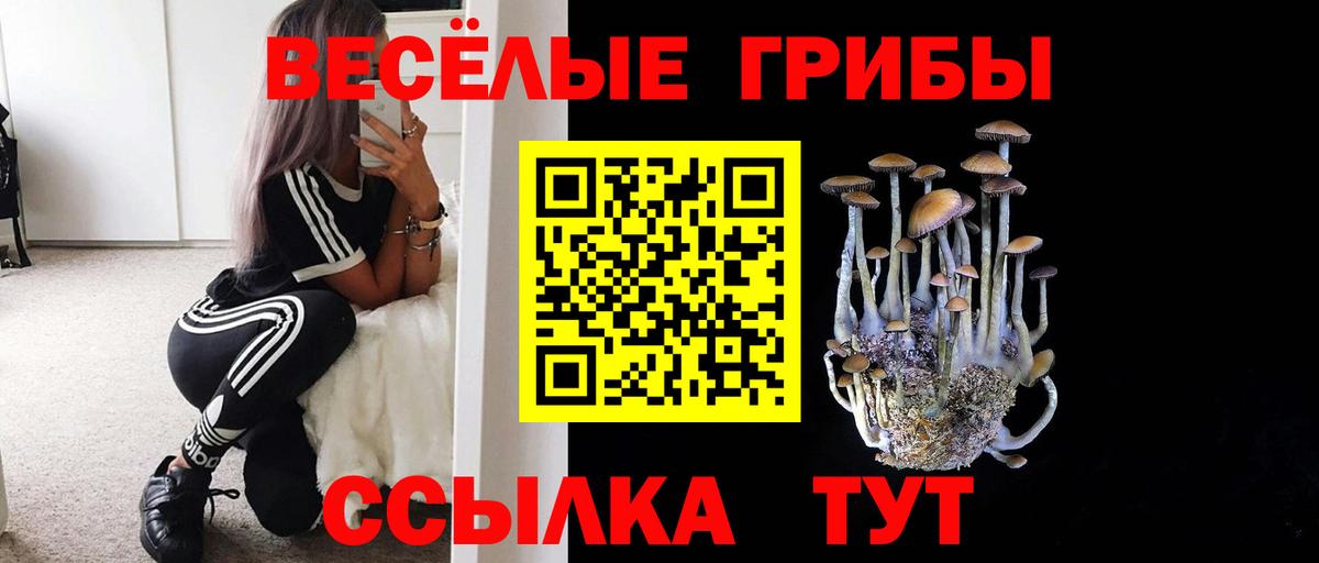 Псилоцибиновые грибы GOLDEN TEACHER  Вход с VPN  Иркутск  Псилоцибиновые грибы мицелий 